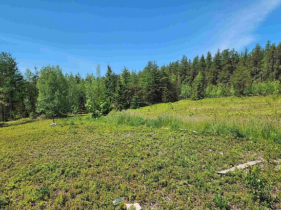 2nd image of 342 Reid Settlement Rd