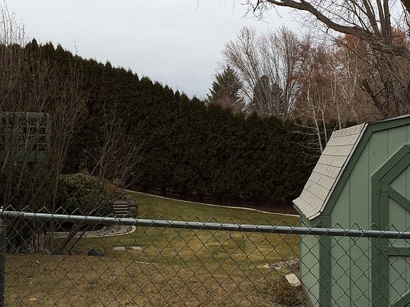 Backyard view from Snyder St