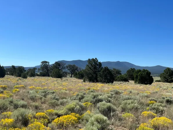 31 Reid Rd, Datil, NM 87821