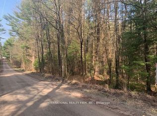 0 The Ave, Kawartha Lakes, ON K0M2A0