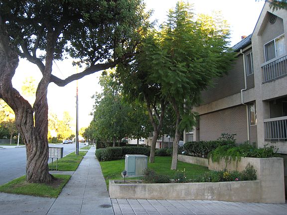 Tree-lined Street 3