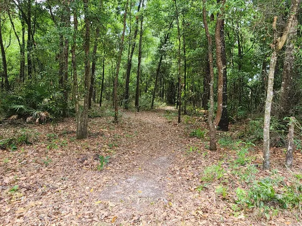 SW Tangerine Dr, Fort White, FL 32038