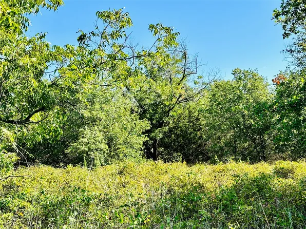 County Road 419, Cisco, TX 76437