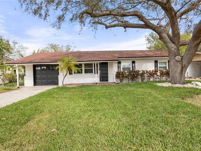 8611 Driftwood Dr, Tampa, FL, 33615