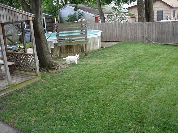 Pool/Yard