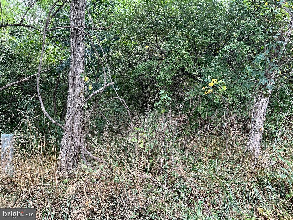 2nd image of 0 Quail Rd