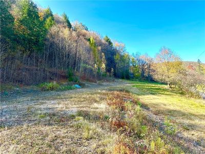 Hazel Road, Livingston Manor, NY, 12758