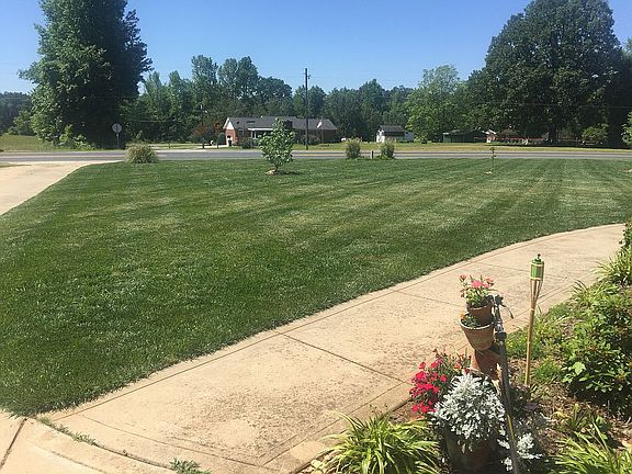 Front yard