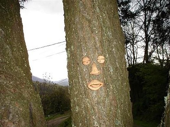 Even the trees Smile Here