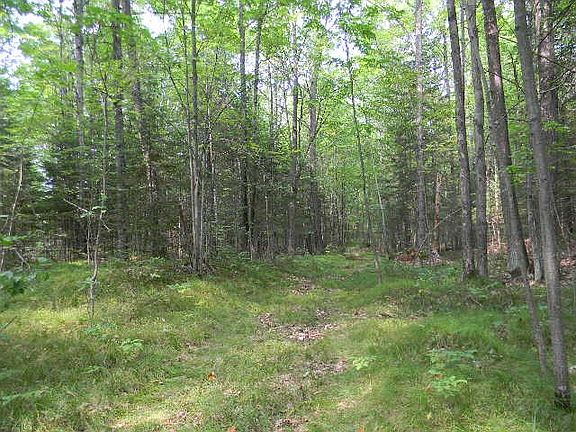 4th image of 11.91 Ac Hwy #55