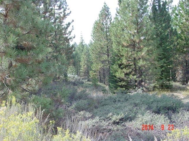 1st image of 7318 Marilyn Way