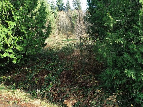 3rd image of 99 Argyle Ln