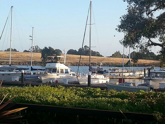 Sunny view - back yard