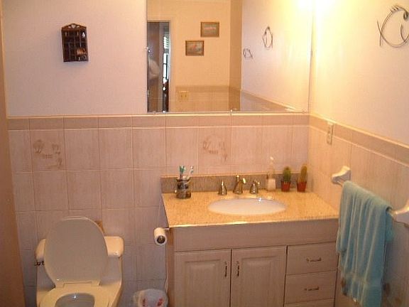 Hall bathroom