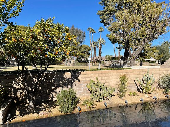 Looking out at greenbelt - grass just growing in...