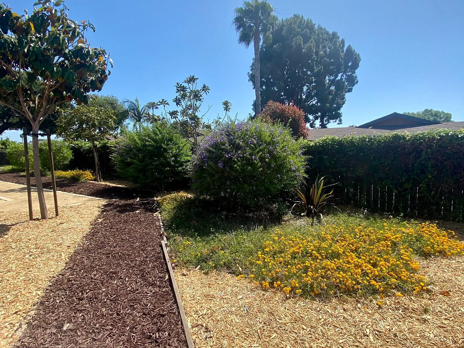 Magnolia Manor — Photo 4