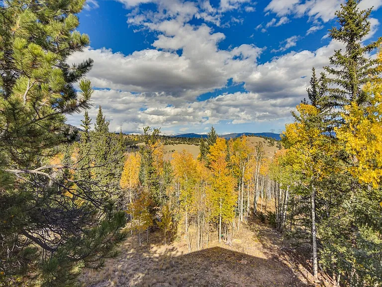 Window View