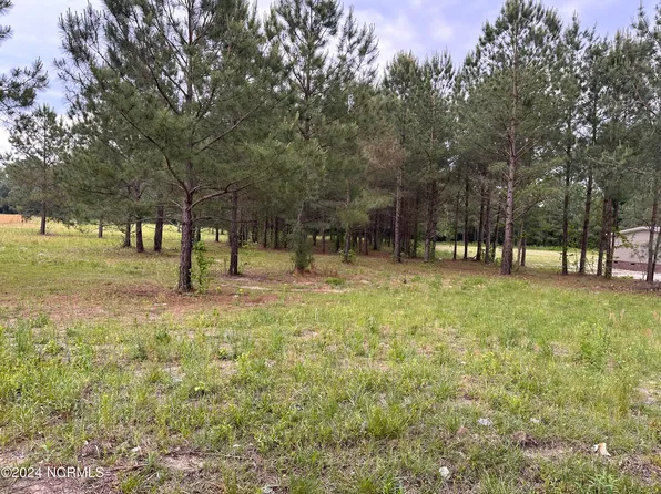 172 Ballance Farm Road, Saint Pauls, NC 28384