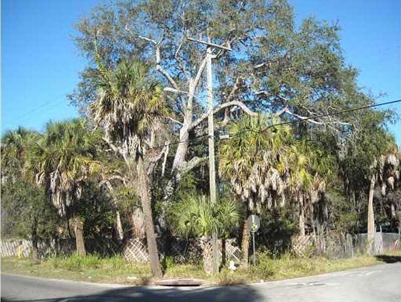 1st image of Cocoanut Ave