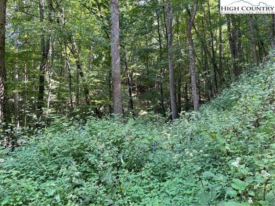 TBD US 421 Highway, Zionville, NC, 28698