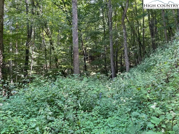 TBD US 421 Highway, Zionville, NC 28698