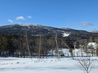 8 Deerfield Dr, Ludlow, VT 05149