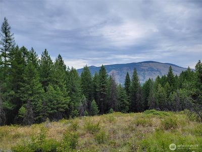 0 Dragon's Lair Lane, Curlew, WA, 99118