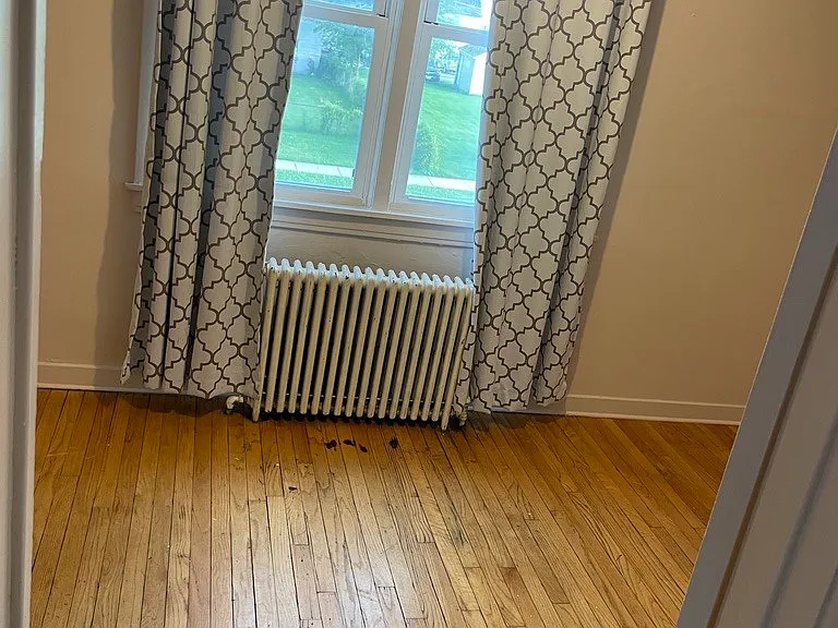 101 E 23rd St #2 — Photo 7