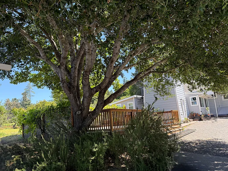 View of home and tower including the very large outdoor deck under the spreading chestnut tree