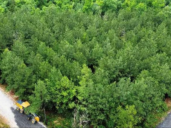 25 Mission Fig Trl, Broken Bow, OK 74728