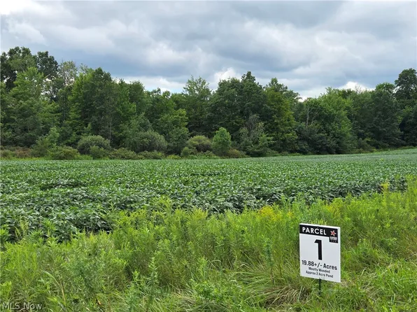 PARCEL 1 Norton Rd, Garrettsville, OH 44231