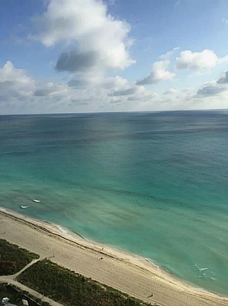 1st image of 6365 Collins Ave APT 3009