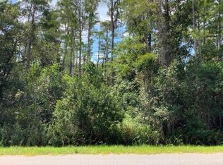 Robertson St LOT 20, Orlando, FL 32833