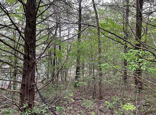 31 Gates Ln, Shell Knob, MO 65747