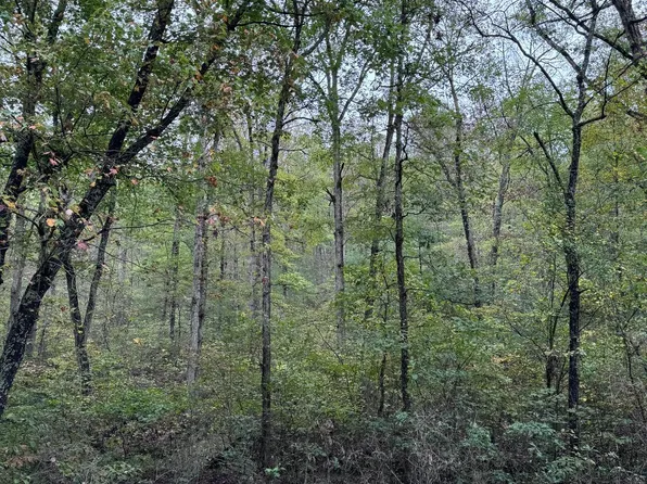 Mine Mountain Ln Lot 16, Fort Valley, VA 22652