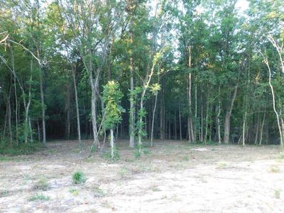 9932 State Highway 155 N, Ore City, TX, 75683