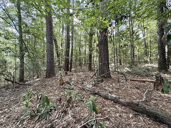 4th image of LOT 954 Lakeshore Dr