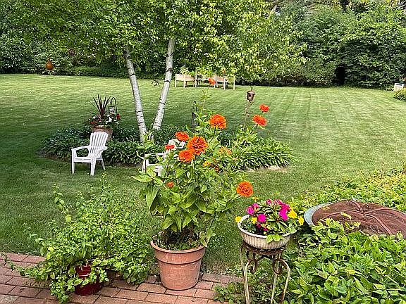 Summer in the backyard