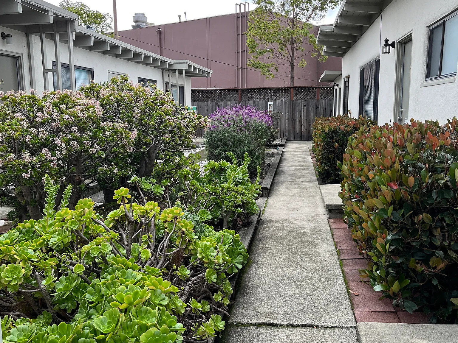 Belmont Ave, El Cerrito — Photo 1