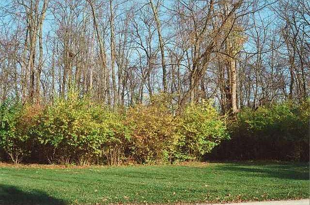 1st image of 0 W Deerbrook Dr