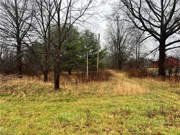 411 Struthers Coitsville Rd, Lowellville, OH 44436