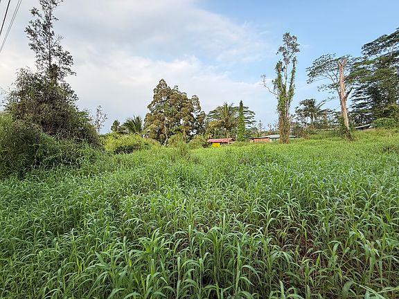 5th image of Silversword Ct Lot 41