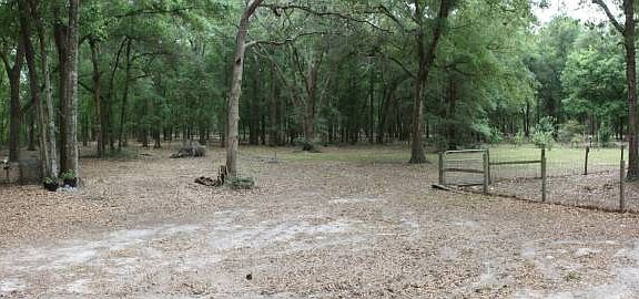 REAR PROPERTY VIEW
