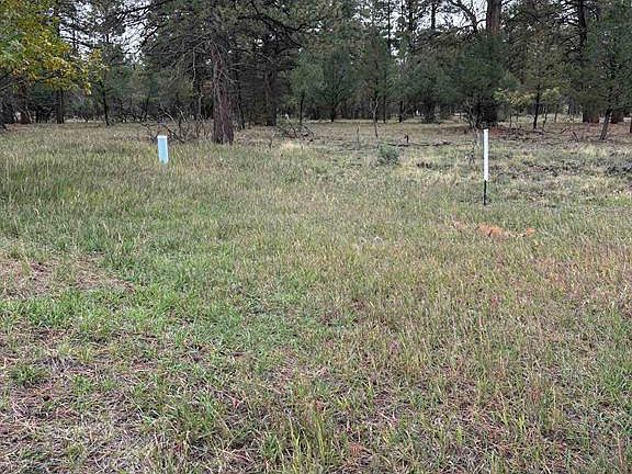 5th image of TBD  Lot 439 S Badger Trail