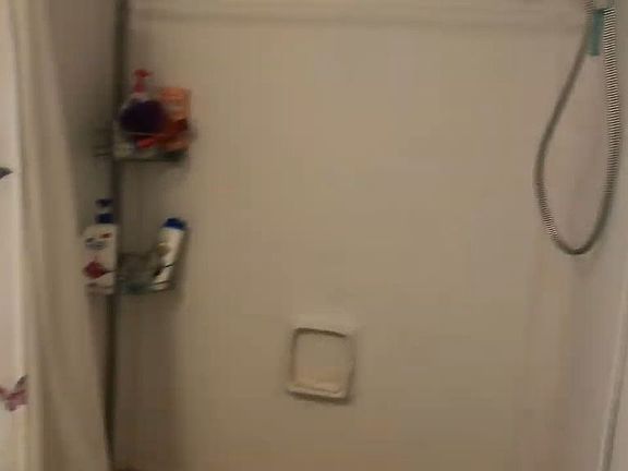 5th image of 217 Scrub Oak Rd