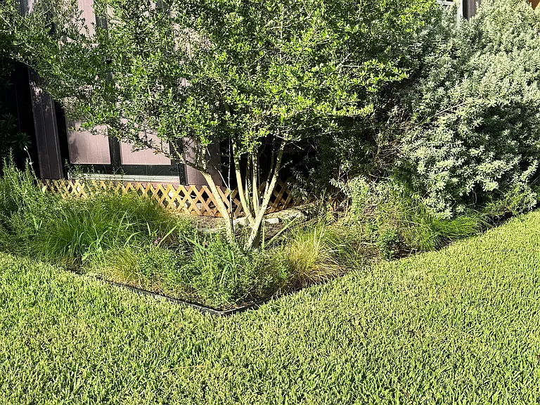 1802 Westmoor Dr #A — Photo 16