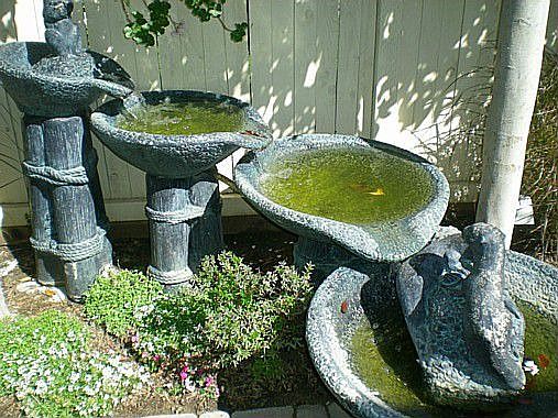 Fountain