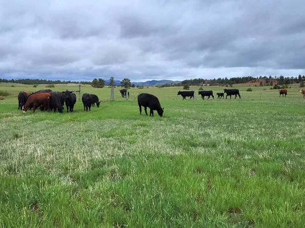 Dewey Rd, Edgemont, SD 57735