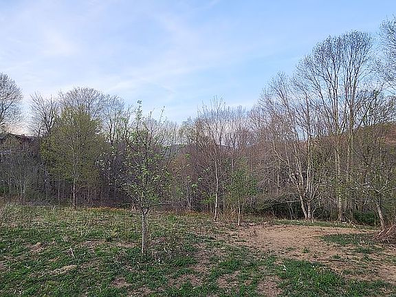 3rd image of 155 Ramsey Hollow Ln