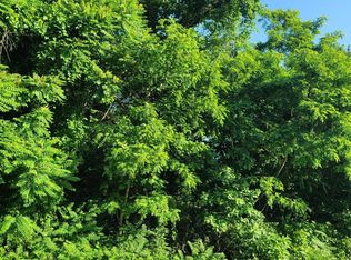 Blue Haven Dr, Kingsport, TN 37663